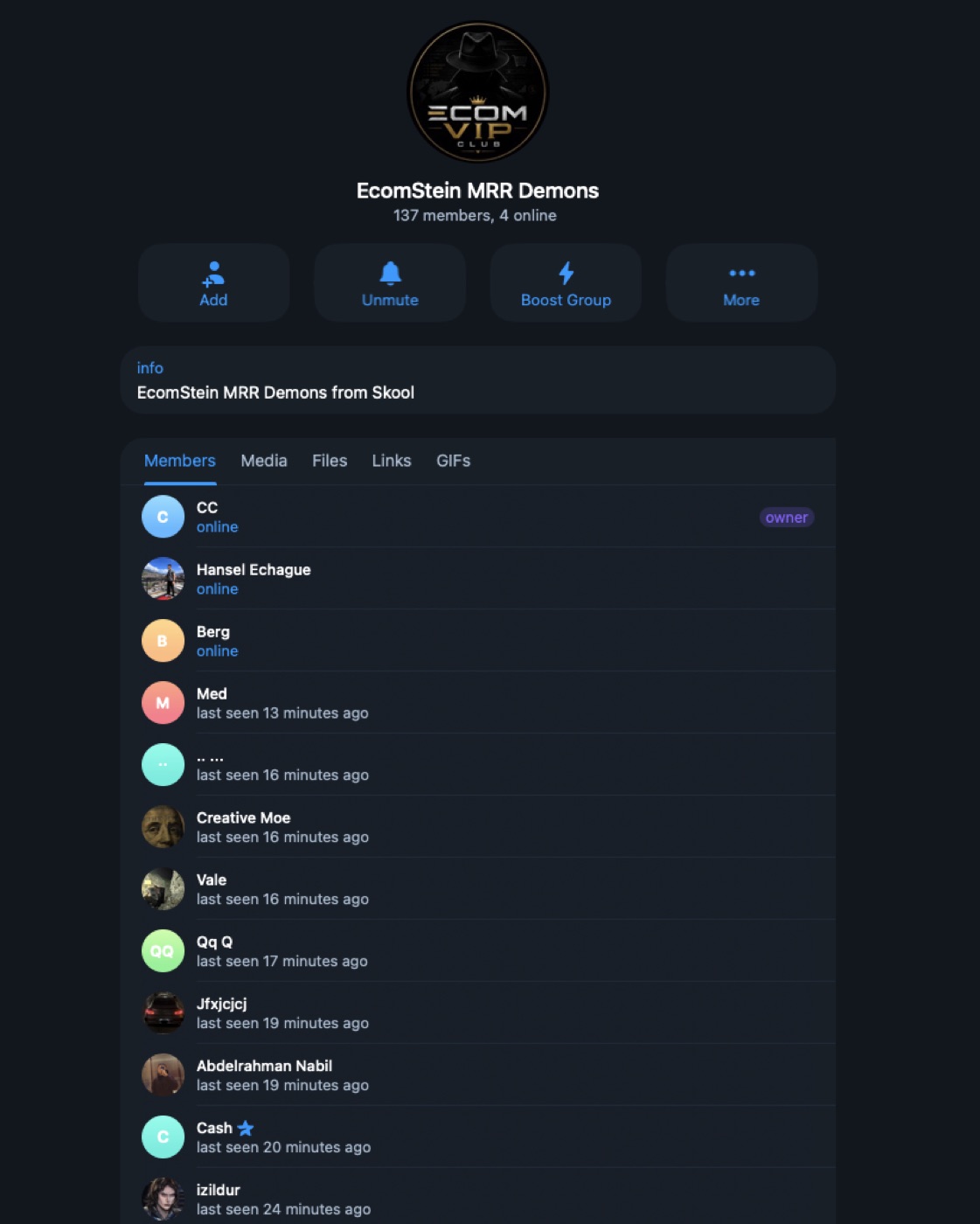 EcomStein MRR Demons private Telegram group — 137 members, online now
